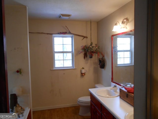 bathroom featuring toilet, wood-type flooring, and vanity