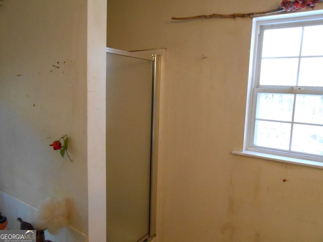 bathroom featuring plenty of natural light and walk in shower