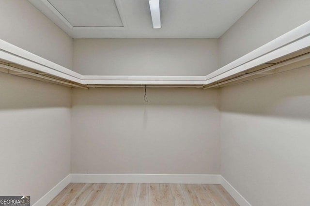 walk in closet featuring light wood-type flooring