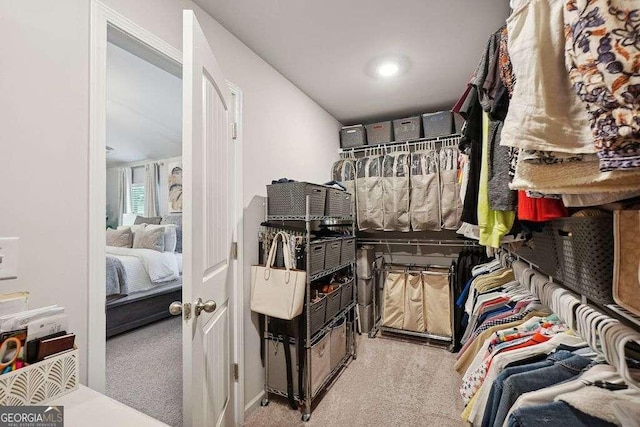 spacious closet featuring light colored carpet