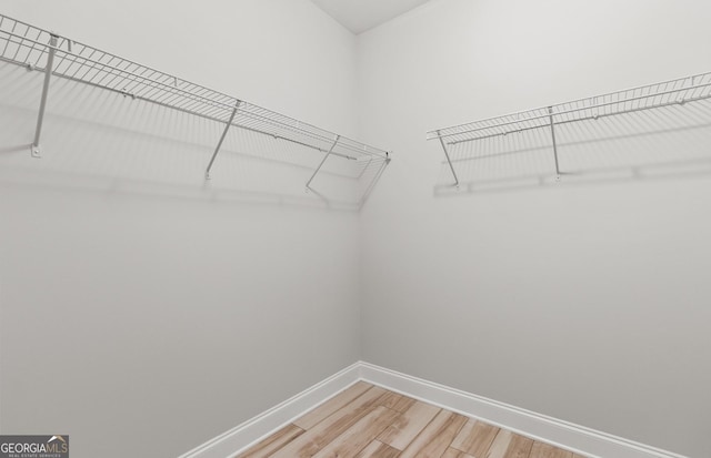 spacious closet with hardwood / wood-style flooring