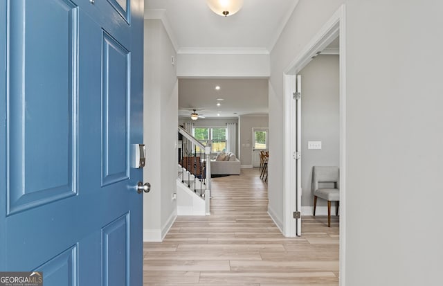 entryway with ceiling fan, crown molding, and light hardwood / wood-style floors