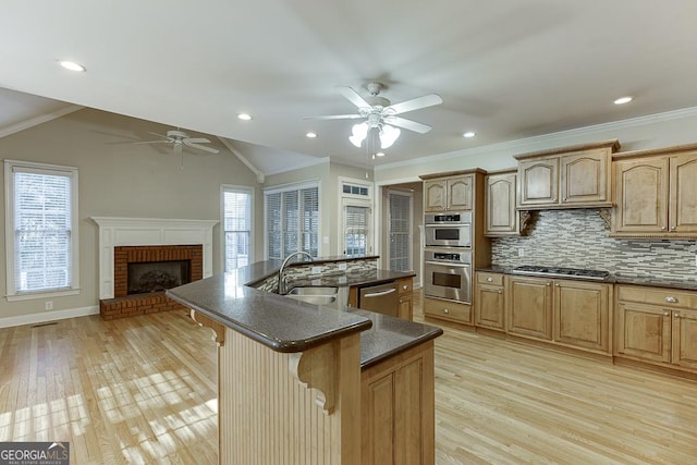 kitchen with tasteful backsplash, a fireplace, sink, a kitchen island with sink, and stainless steel appliances