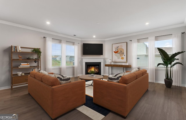 living room featuring plenty of natural light, dark hardwood / wood-style flooring, and ornamental molding