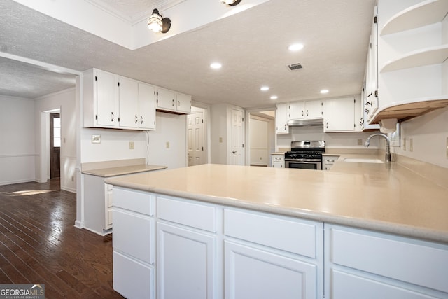 49 Post Oak Dr, Lagrange, GA 30240 - kitchen with stainless steel gas range, a sink, open shelves, under cabinet range hood, and a peninsula