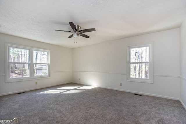 49 Post Oak Dr, Lagrange, GA 30240 - empty room with plenty of natural light, a ceiling fan, carpet flooring, and a textured ceiling