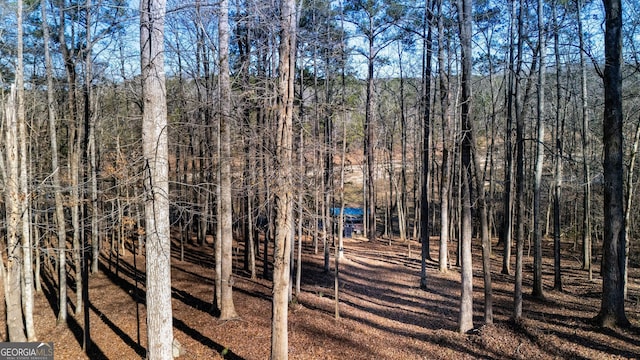 49 Post Oak Dr, Lagrange, GA 30240 - view of tree filled area