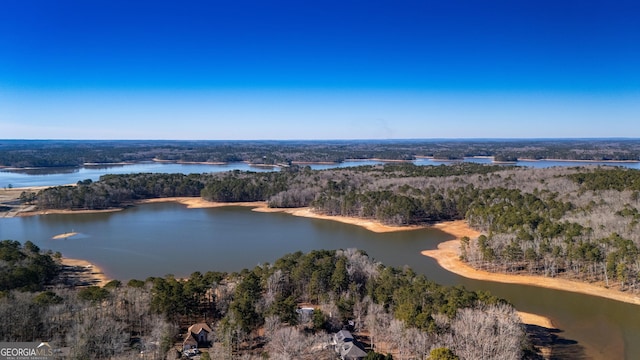 49 Post Oak Dr, Lagrange, GA 30240 - drone / aerial view of a heavily wooded area and a large body of water