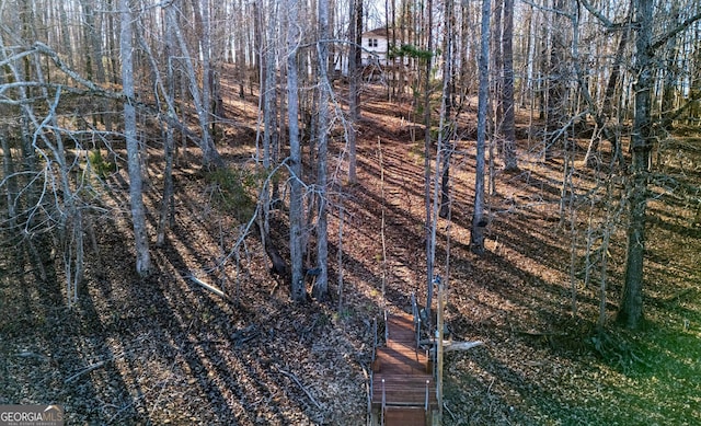 49 Post Oak Dr, Lagrange, GA 30240 - view of undeveloped land