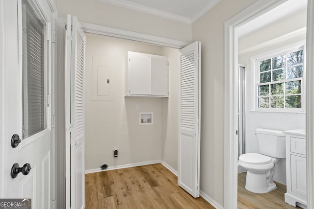 washroom featuring electric panel, crown molding, hookup for a washing machine, and light hardwood / wood-style floors