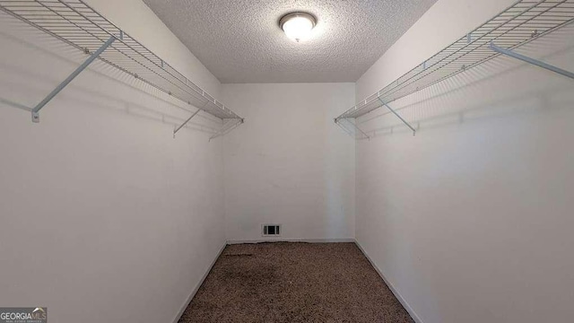 spacious closet featuring carpet floors