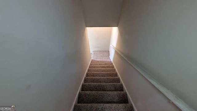 stairs with carpet flooring