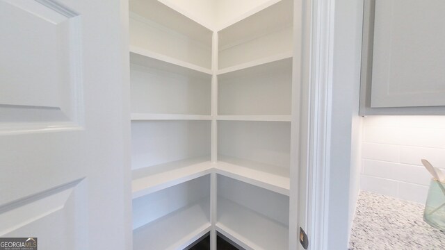 1013 Syrup Mill Creek Ln, Cairo, GA 39828 - view of pantry