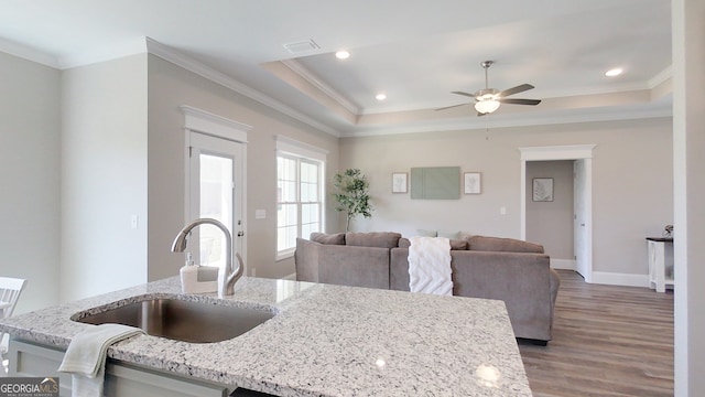 1013 Syrup Mill Creek Ln, Cairo, GA 39828 - kitchen with open floor plan, wood finished floors, a tray ceiling, and a sink