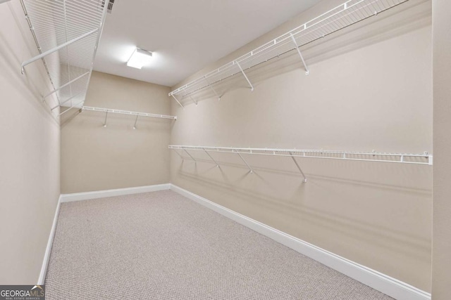 spacious closet featuring carpet flooring