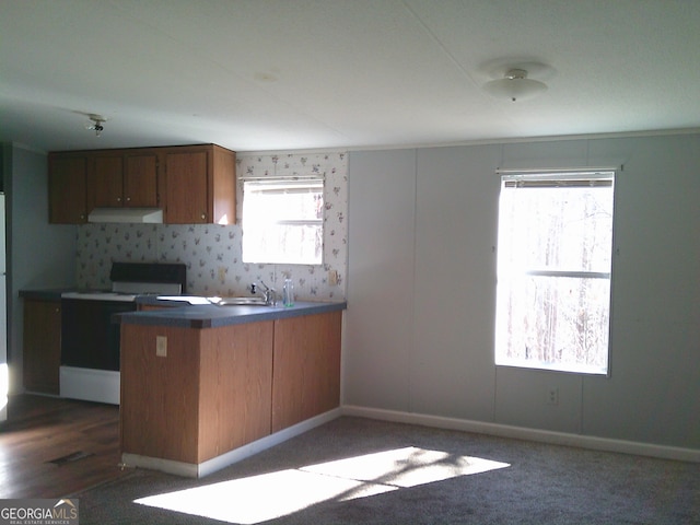 kitchen with decorative backsplash, sink, electric range, and kitchen peninsula