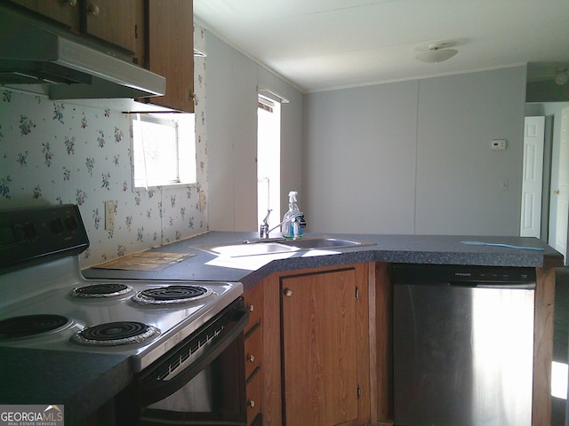 kitchen with stainless steel dishwasher, sink, and black range with electric cooktop