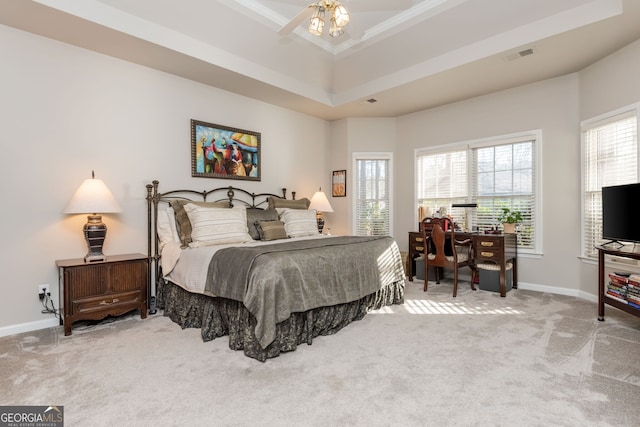 carpeted bedroom with a raised ceiling