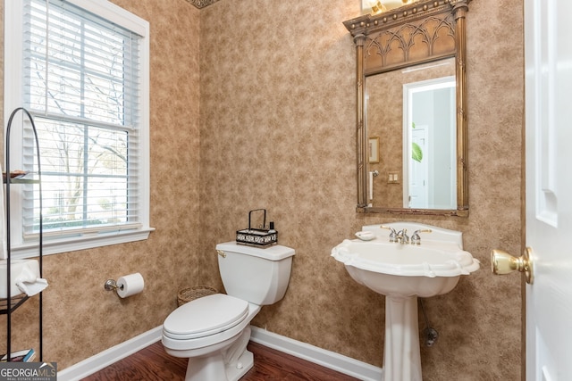 bathroom featuring wood-type flooring, plenty of natural light, and toilet