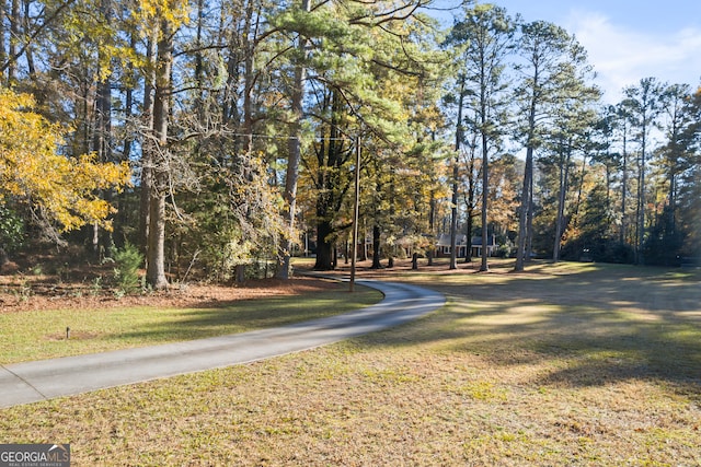 view of road