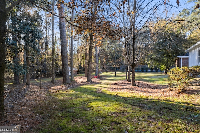 view of yard