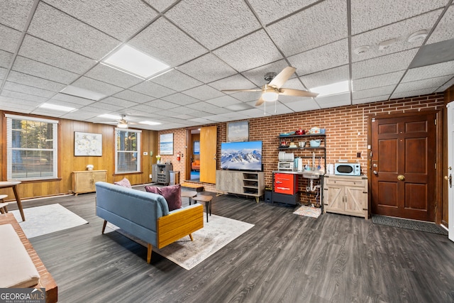 living area featuring a paneled ceiling, brick wall, ceiling fan, and dark wood finished floors