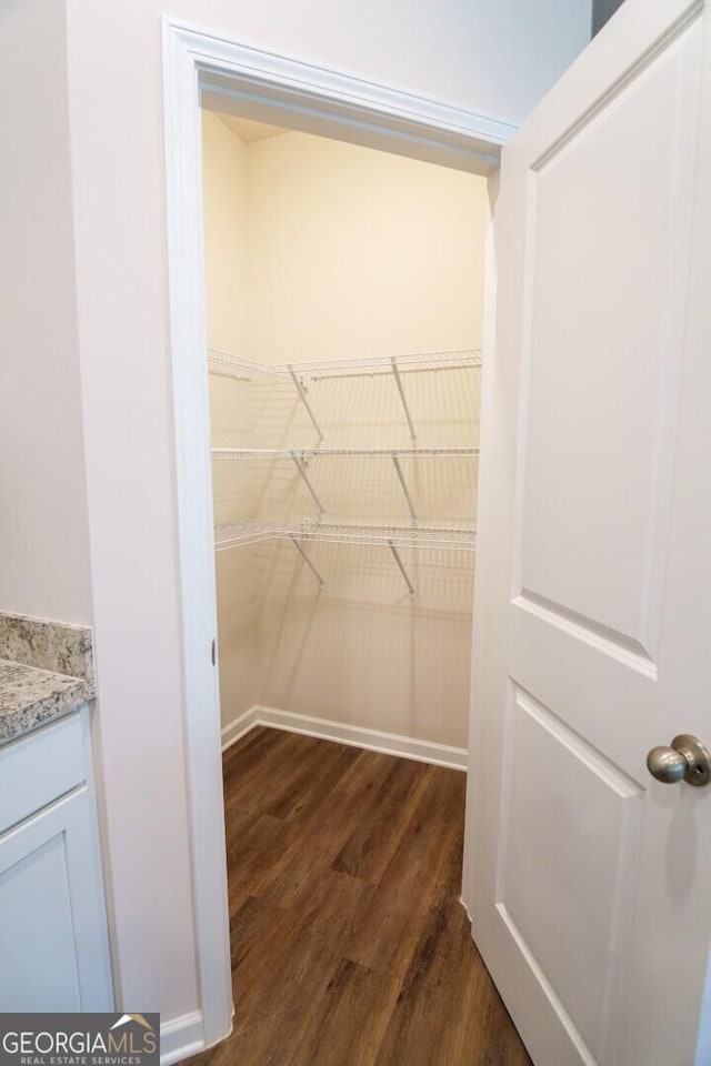 28 Russet Way Lot 60, Newnan, GA 30263 - walk in closet featuring dark wood finished floors