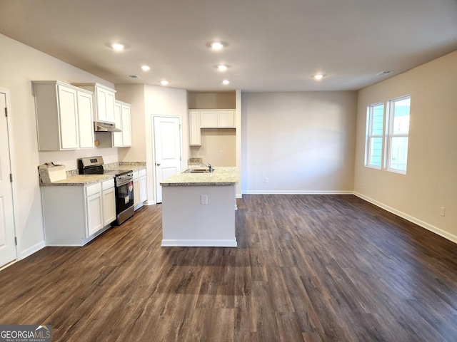 28 Russet Way Lot 60, Newnan, GA 30263 - kitchen with stainless steel range with electric stovetop, a sink, dark wood-style flooring, recessed lighting, and baseboards