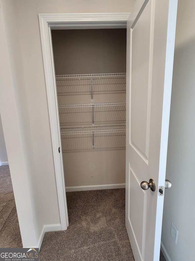 28 Russet Way Lot 60, Newnan, GA 30263 - view of closet