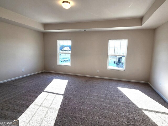 28 Russet Way Lot 60, Newnan, GA 30263 - spare room with dark colored carpet, plenty of natural light, baseboards, and a raised ceiling