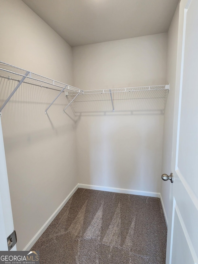 28 Russet Way Lot 60, Newnan, GA 30263 - spacious closet featuring carpet floors