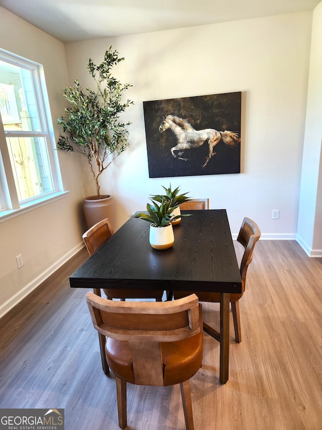 28 Russet Way Lot 60, Newnan, GA 30263 - dining area with wood finished floors and baseboards