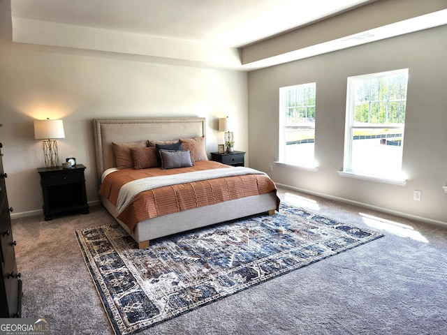 28 Russet Way Lot 60, Newnan, GA 30263 - bedroom featuring carpet floors and baseboards