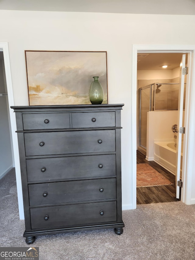 28 Russet Way Lot 60, Newnan, GA 30263 - detailed view of carpet flooring, baseboards, and wood finished floors