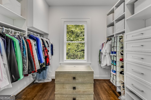 spacious closet featuring dark hardwood / wood-style floors