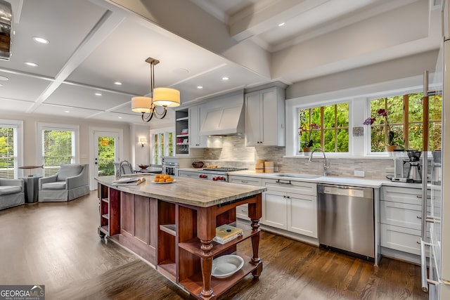 kitchen featuring a kitchen island, custom exhaust hood, sink, hanging light fixtures, and appliances with stainless steel finishes