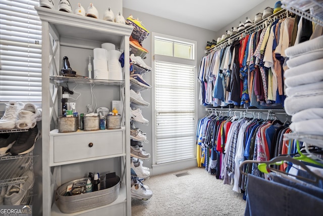 spacious closet with carpet floors