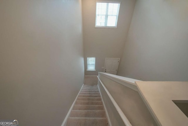 staircase with carpet floors