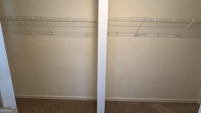 walk in closet with dark carpet