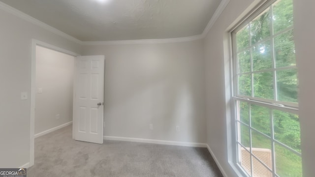 carpeted spare room featuring ornamental molding