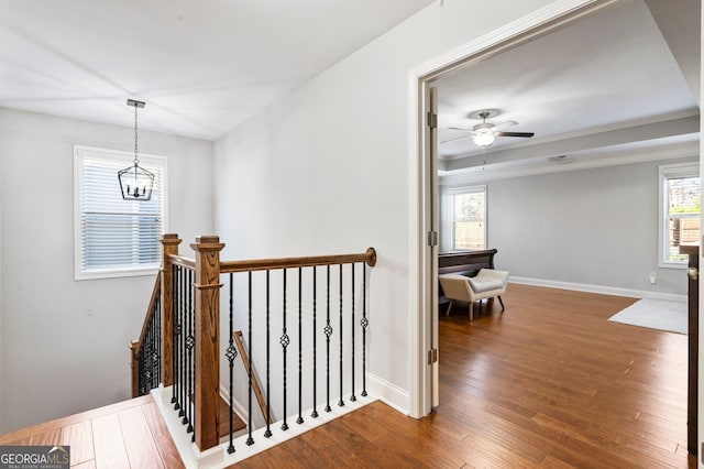 hallway featuring dark wood-type flooring, plenty of natural light, and an inviting chandelier