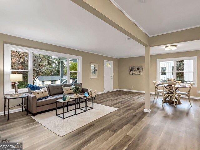 living room with a wealth of natural light, ornamental molding, and hardwood / wood-style floors