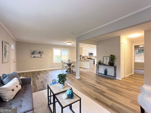 living room with ornamental molding and light hardwood / wood-style floors