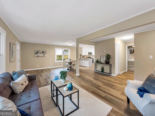 living room with wood-type flooring and ornamental molding