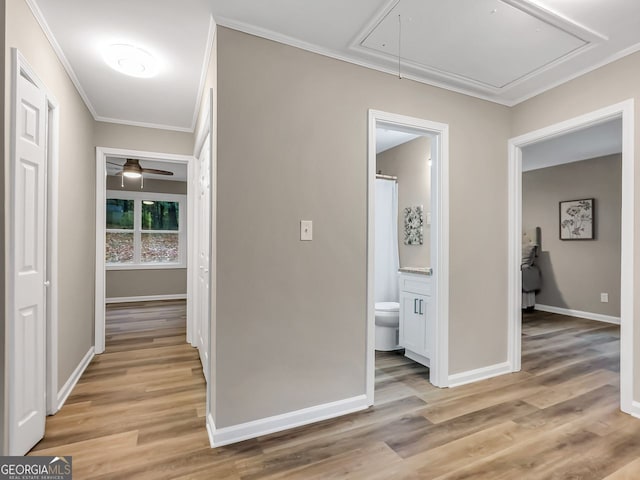 hallway featuring crown molding and light wood-type flooring