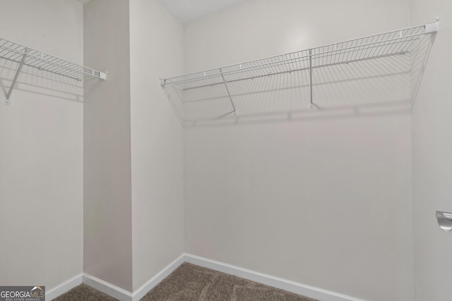 spacious closet with carpet floors