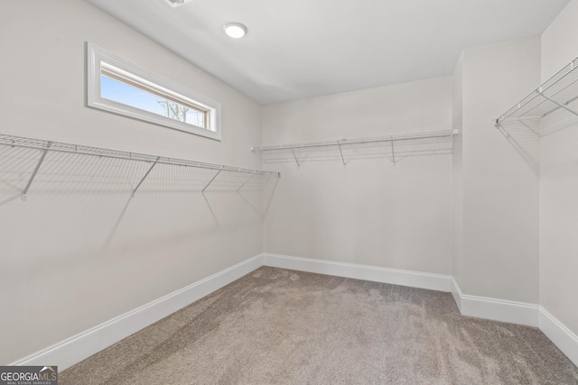 spacious closet featuring carpet