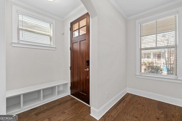 foyer featuring dark hardwood / wood-style floors, a wealth of natural light, and ornamental molding