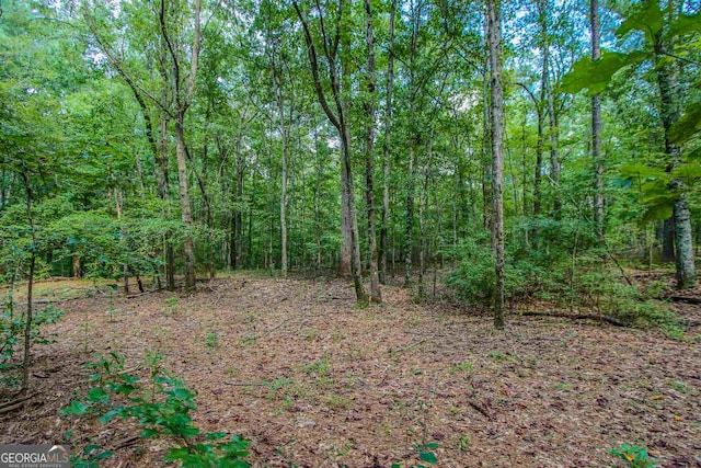 205 Donegal Dr, Tyrone GA, 30290 land for sale