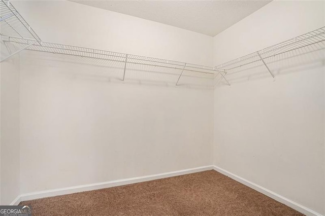 3055 Cooper Woods Ln, Loganville, GA 30052 - walk in closet featuring carpet flooring